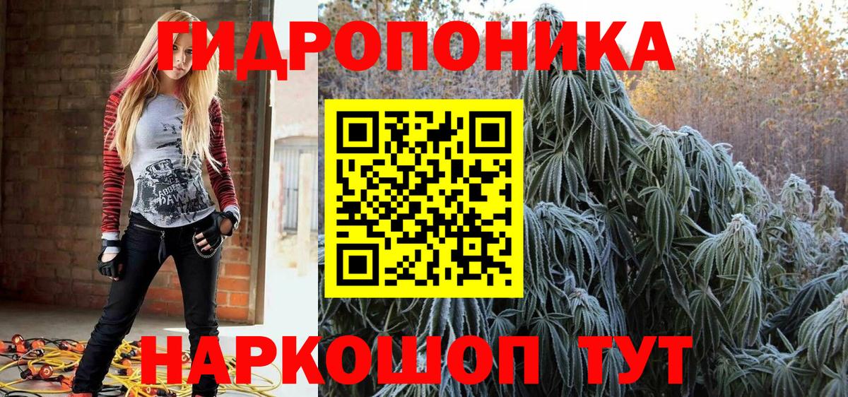 МАРИХУАНА сатива Нижнеудинск